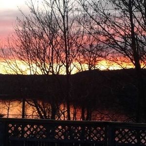 Meet your Posher, Barb